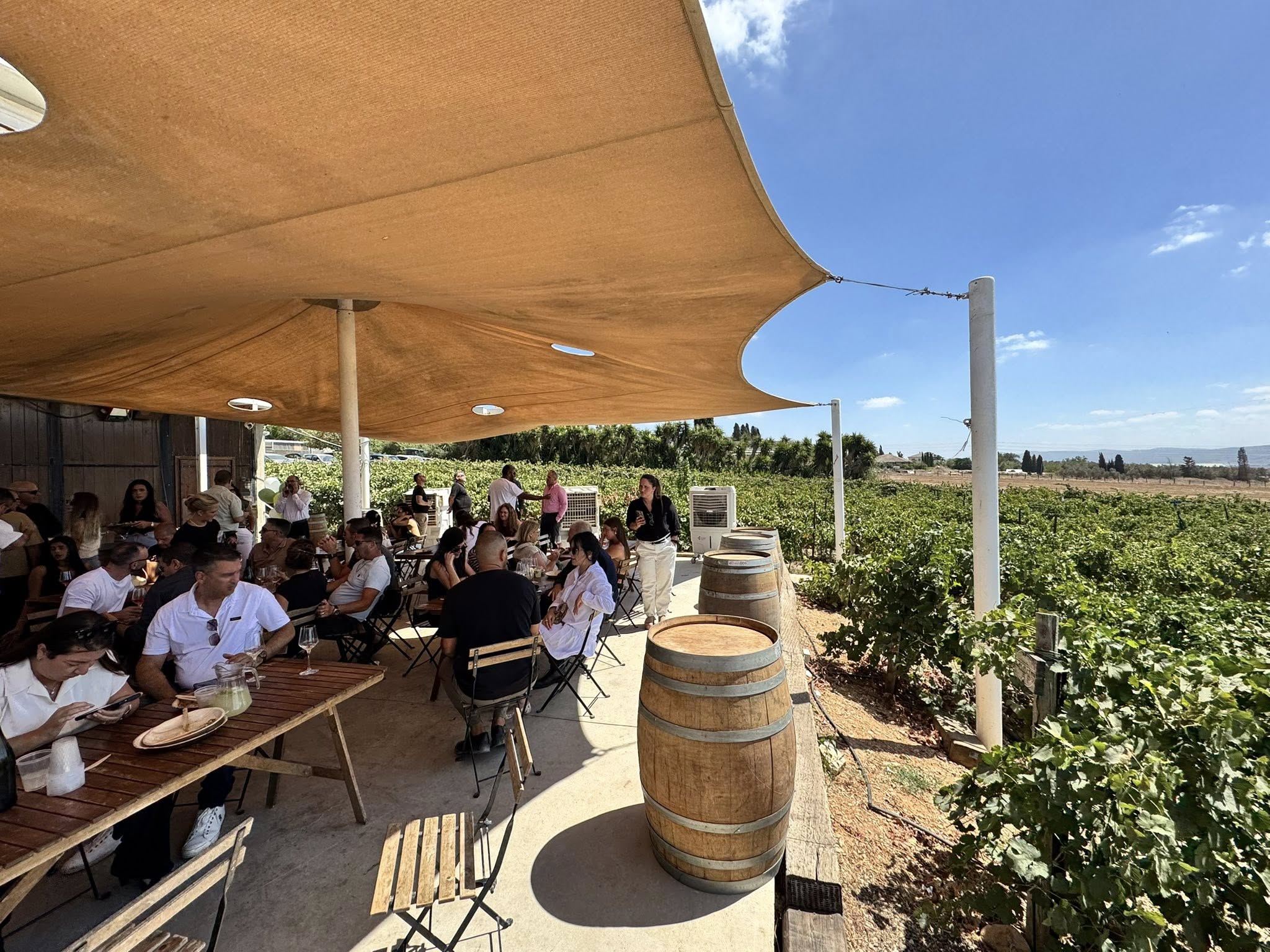 541345520_1184682250346655_7707388300339012238_n